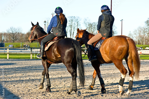 Slika na platnu equitation - les protections du cheval et du cavalier