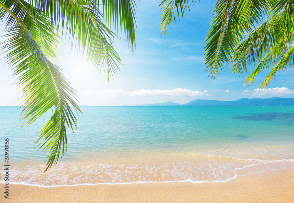 Naklejka premium Palmowa i tropikalna plaża