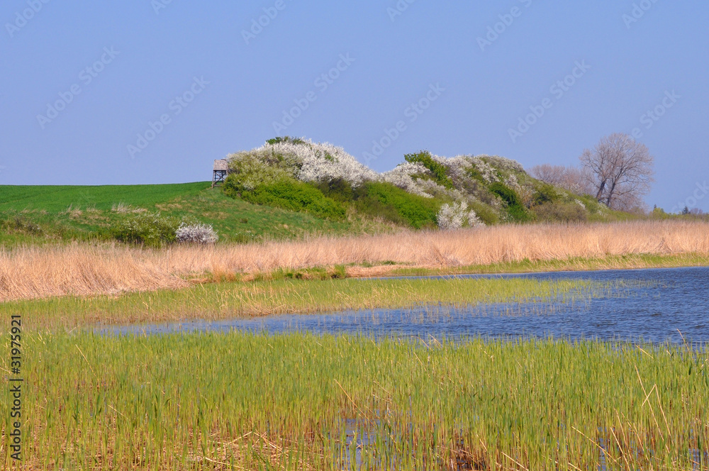 wasserlandschaft StockFoto Adobe Stock