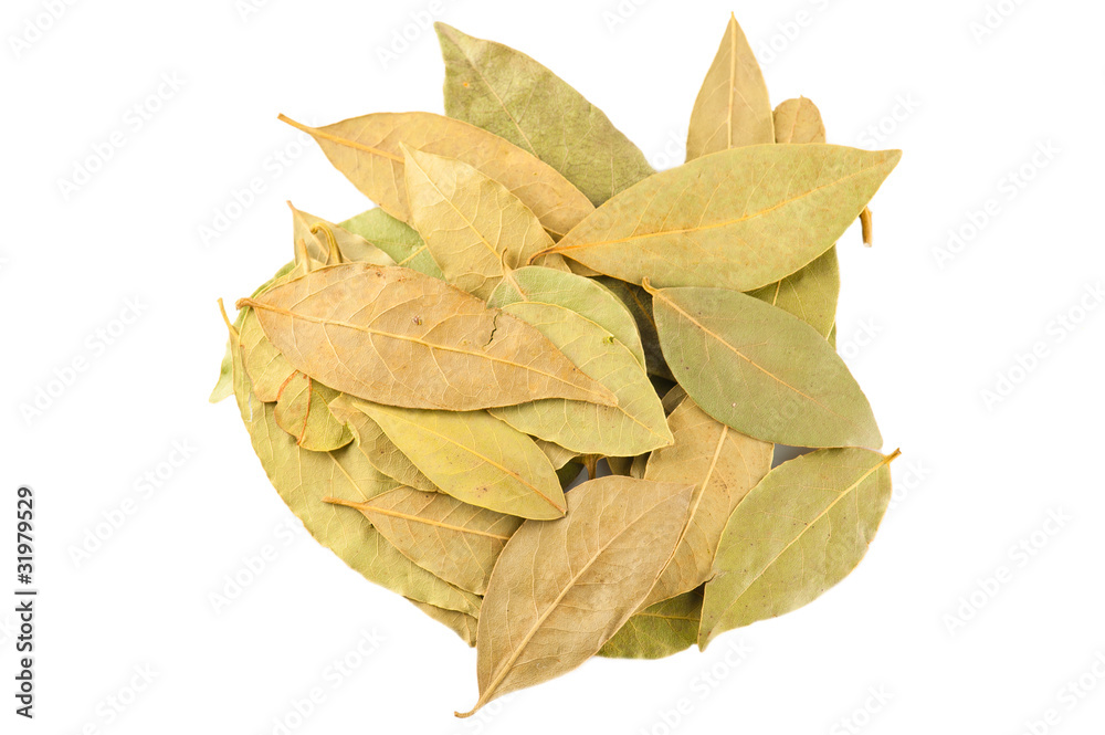 Spices. Dry laurel leaves on white background Spices. Dry laurel leaves on white background