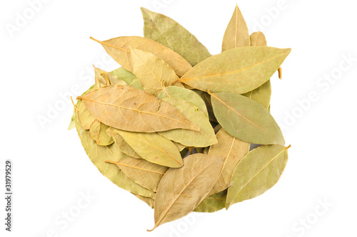 Spices. Dry laurel leaves on white background