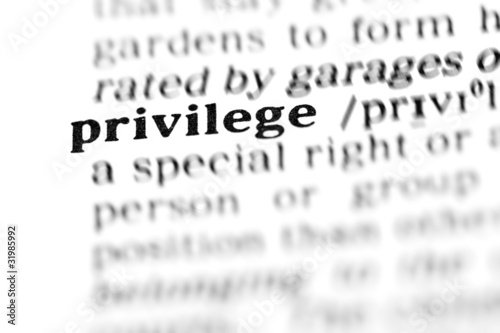 privilege (the dictionary project) photo