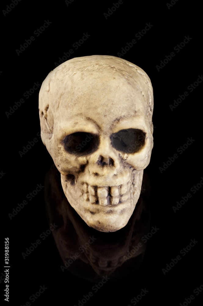 Halloween Skull on black