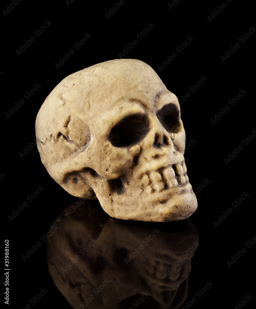 Obraz premium Halloween Skull on black