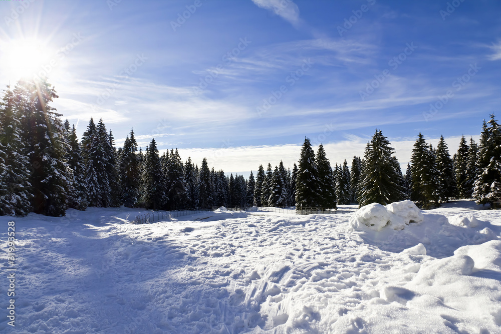Fototapeta premium Paesaggio alpino innevato