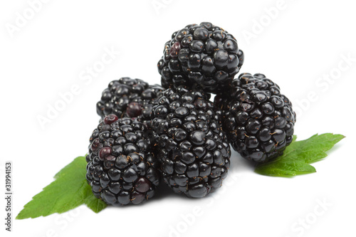 fresh blackberries isolated
