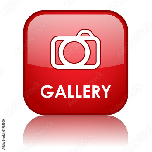 "GALLERY" Web Button (photos pictures art view portfolio camera)