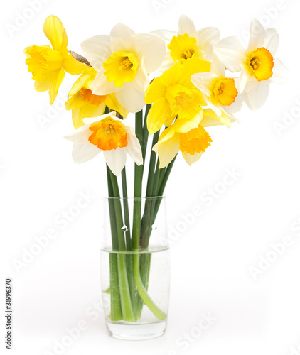 different narcissus flowers on a glass