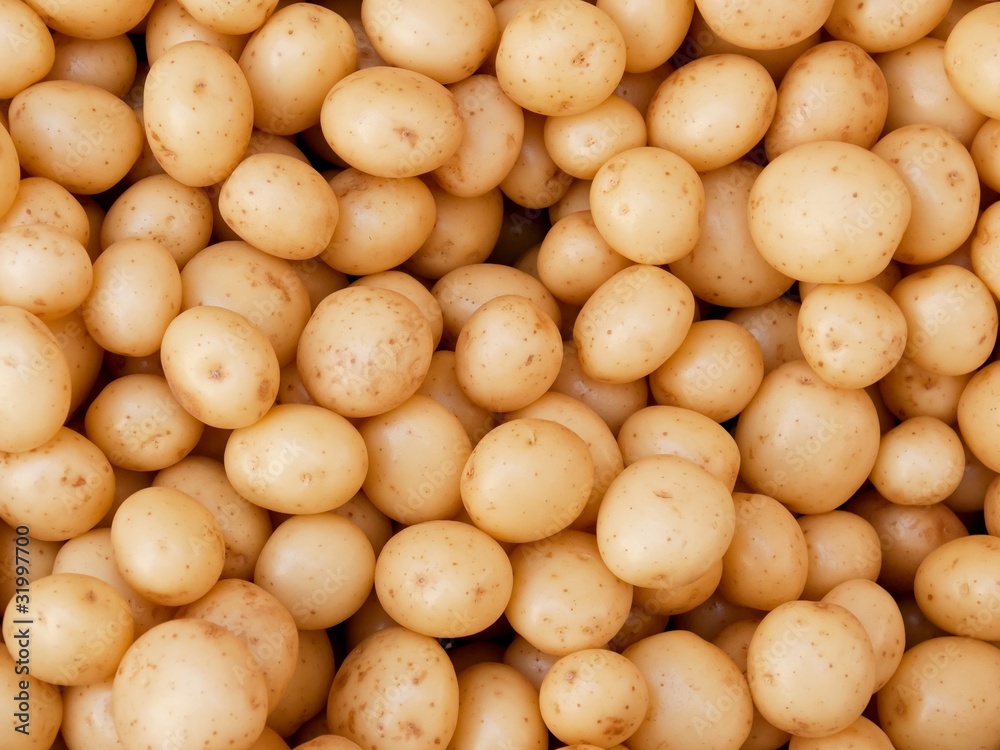 New potatoes, washed and ready for sale New potatoes, washed and ready for sale