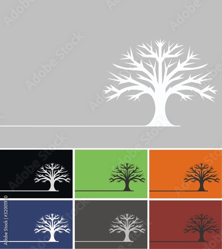 oak tree