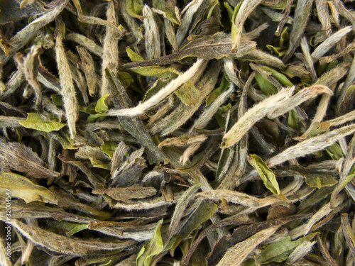 White Tea - Pai Mu Tan