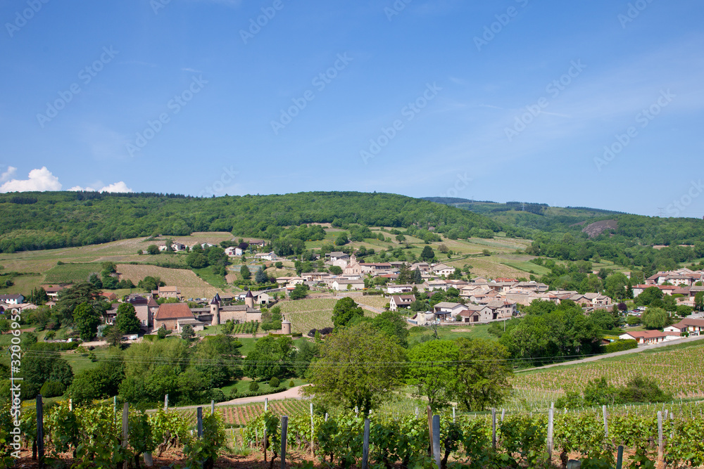 Naklejka premium paysage viticole