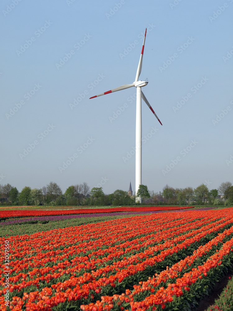 Alternative Energiequelle Windkraft
