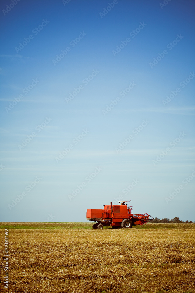 Fototapeta premium Red combine harvester working in a wheat field