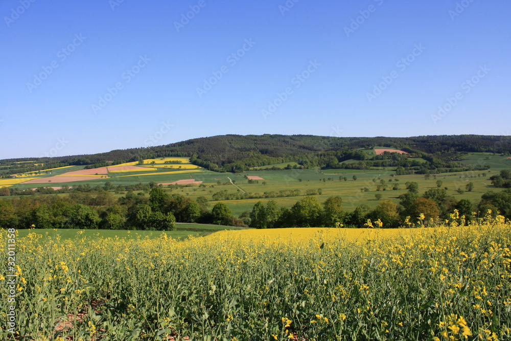 view of the valley with rape fields