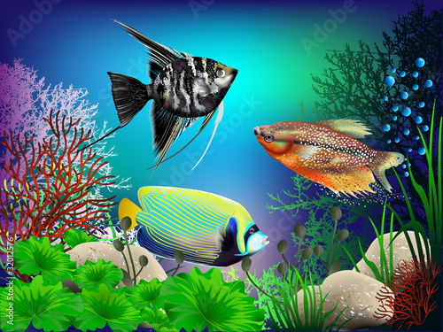 Underwater World