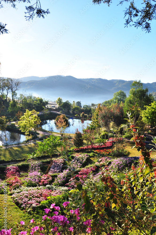 Obraz premium the garden