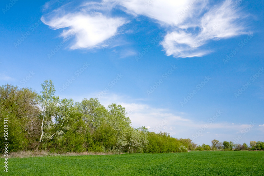 Nice landscape in steppe