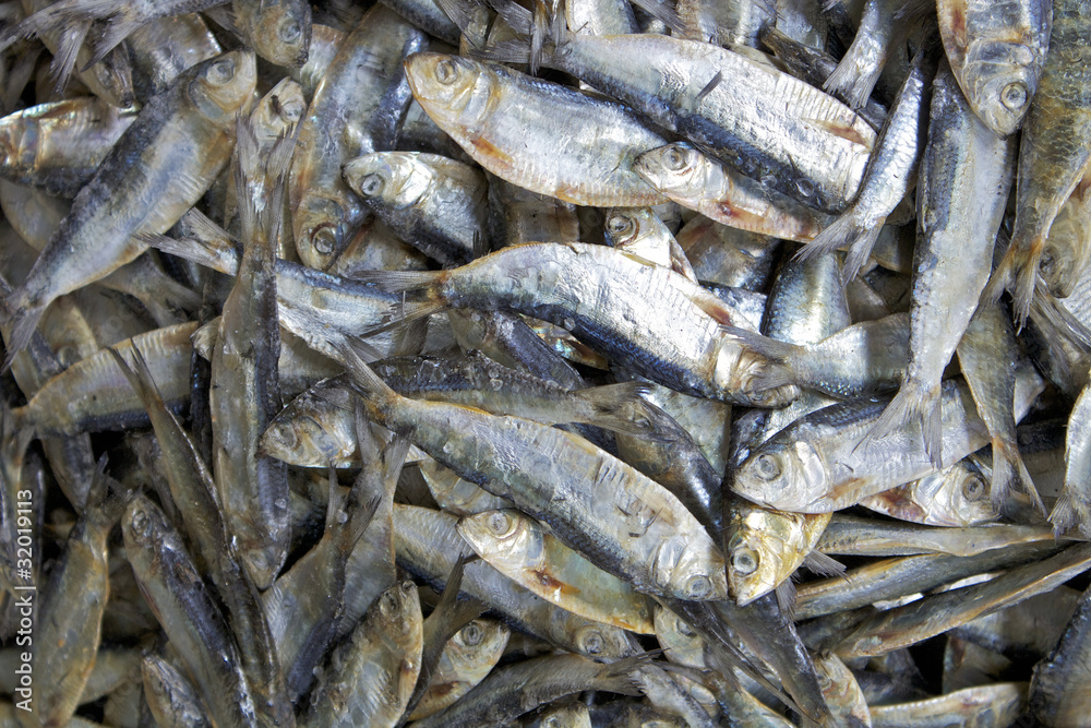 Trockenfisch Trockenfisch