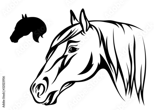horse head vector illustration
