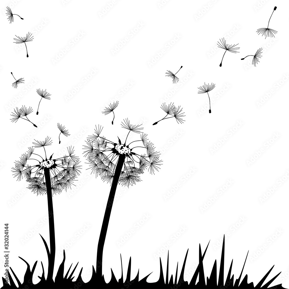 Pusteblume