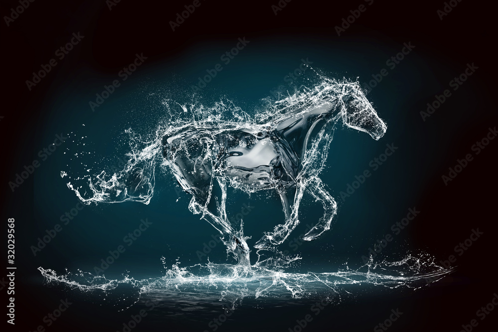 Fototapeta premium water horse