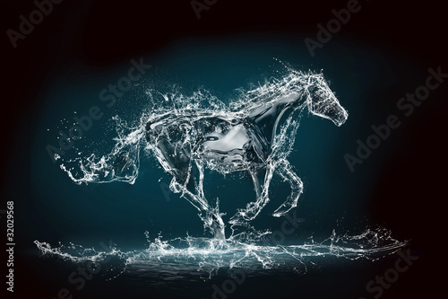 Fototapeta Naklejka Na Ścianę i Meble -  water horse