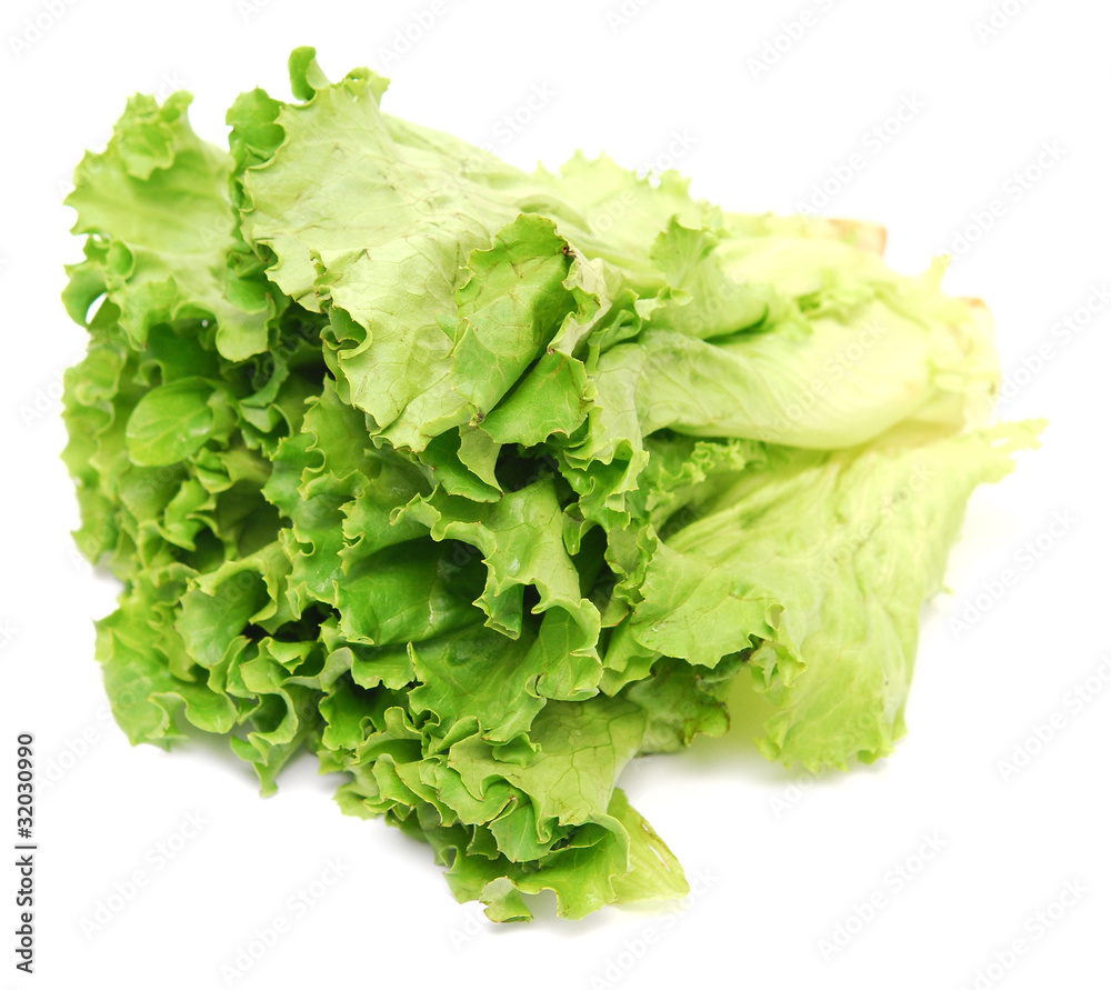 lettuce lettuce