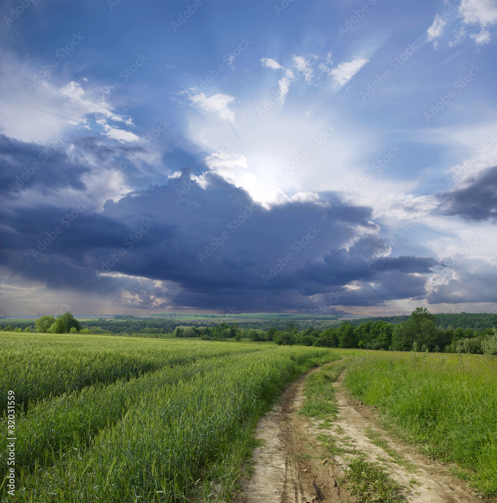 Obraz premium Landscape