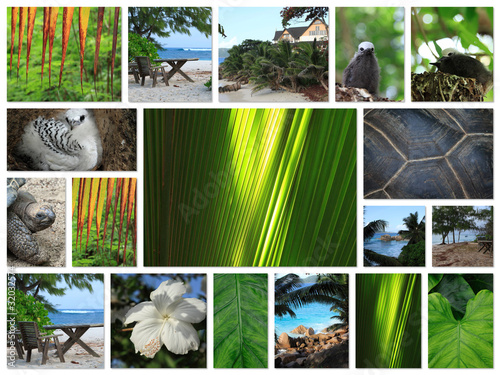 seychelles desktop collage