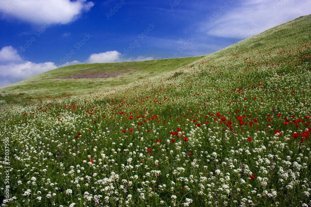Meadow, hills and blue sky