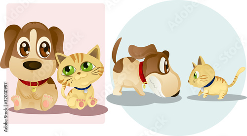 Dog and cat