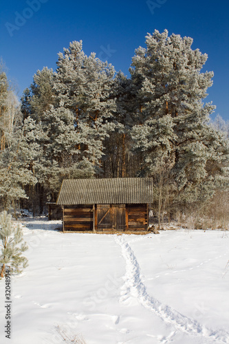 The footpath conducting to a small wooden building in wood