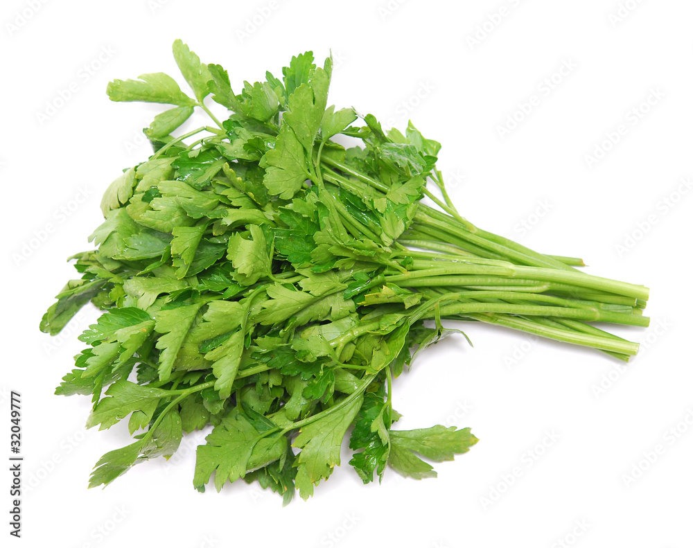 parsley parsley