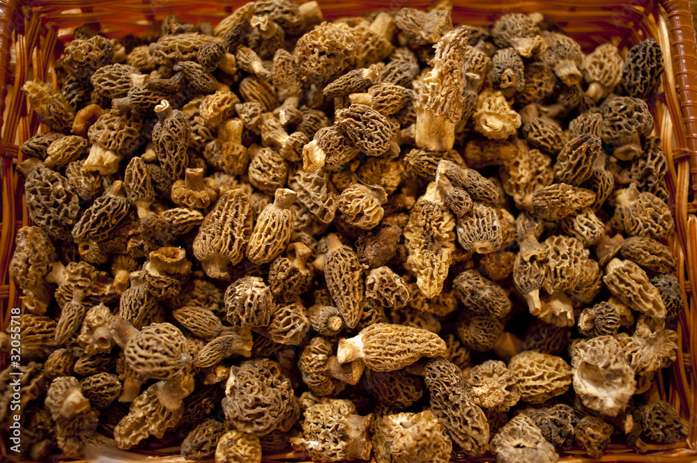 Morel mushrooms bunched together in a rattan basket Morel mushrooms bunched together in a rattan basket