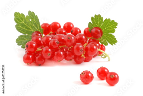 Johannisbeeren