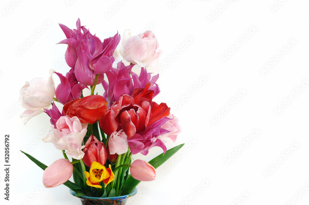 チューリップの花束 チューリップの花束