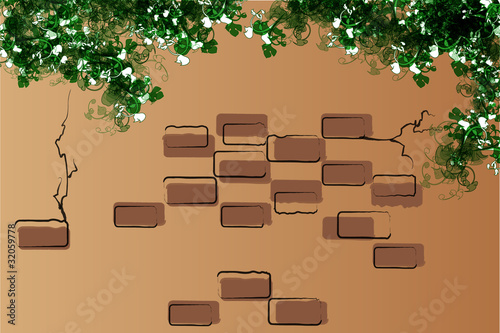 Muro ed edera