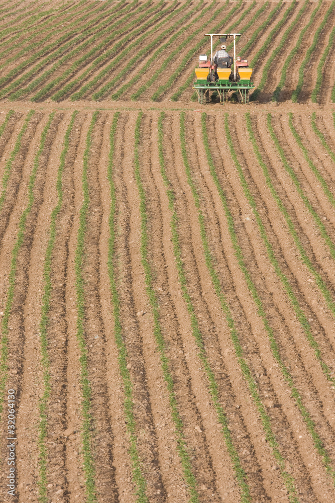 Fototapeta premium tarım