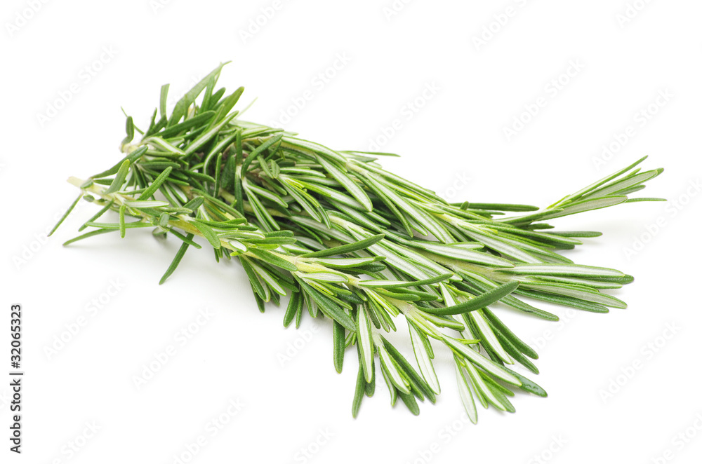 rosemary