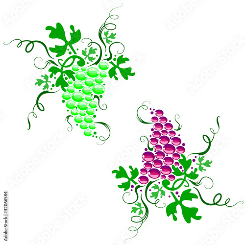 two sorts of grape