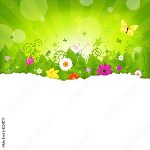 Fototapeta Naklejka Na Ścianę i Meble -  Nature Background