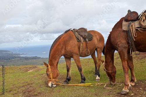 Horses on Easter Island