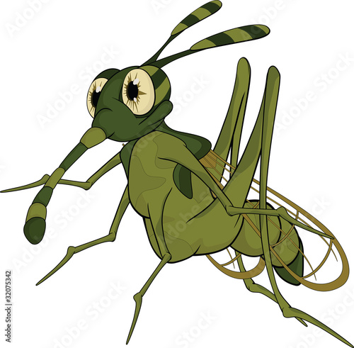 Terrible mosquito. Cartoon