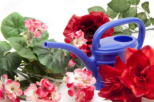 Fototapeta Naklejka Na Ścianę i Meble -  Blumen mit Gießkanne