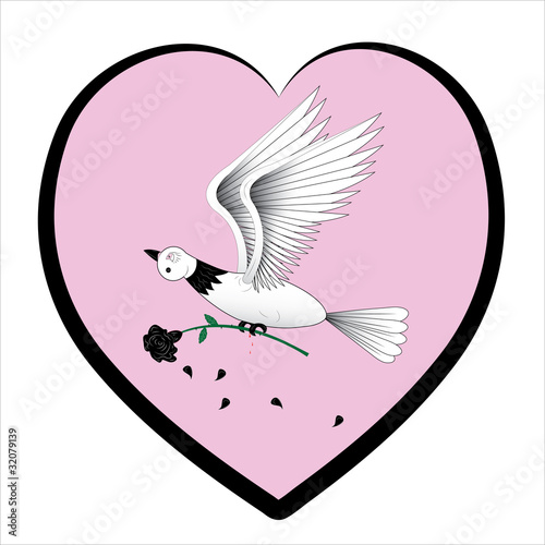 Pigeon and a rose.