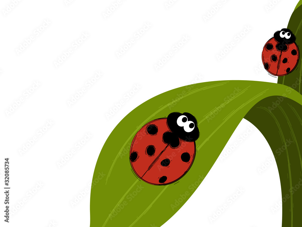 Ladybird couple Ladybird couple