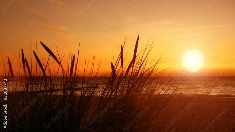 sea, beach grass, sunset (With sound) sea, beach grass, sunset (With sound)