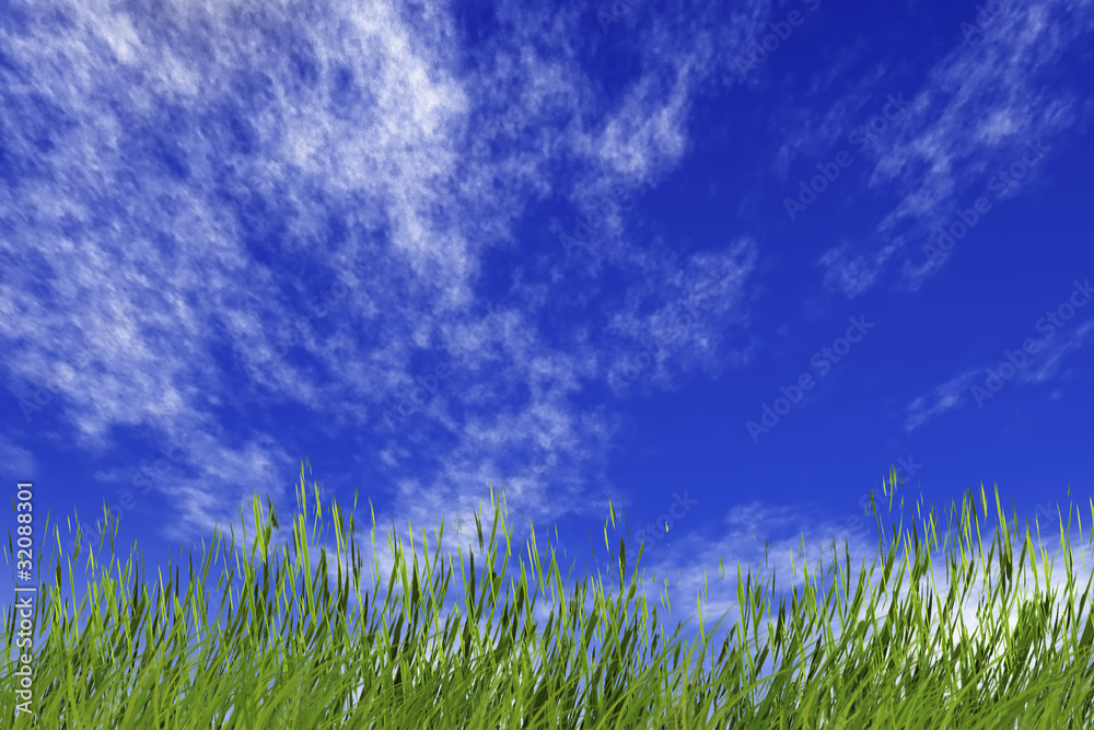 Fototapeta premium grass and cloudy sky