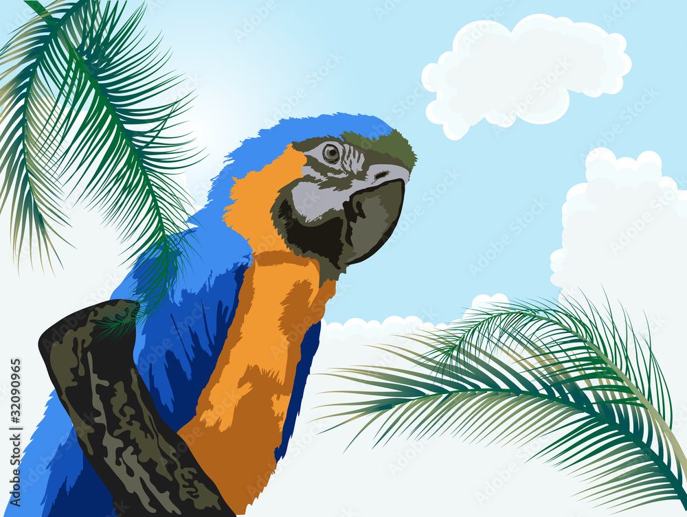 Obraz premium Papuga